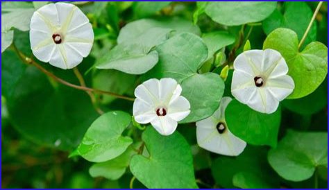 Unveiling The Life And Partner Of Tom Hughes: A Comprehensive Guide